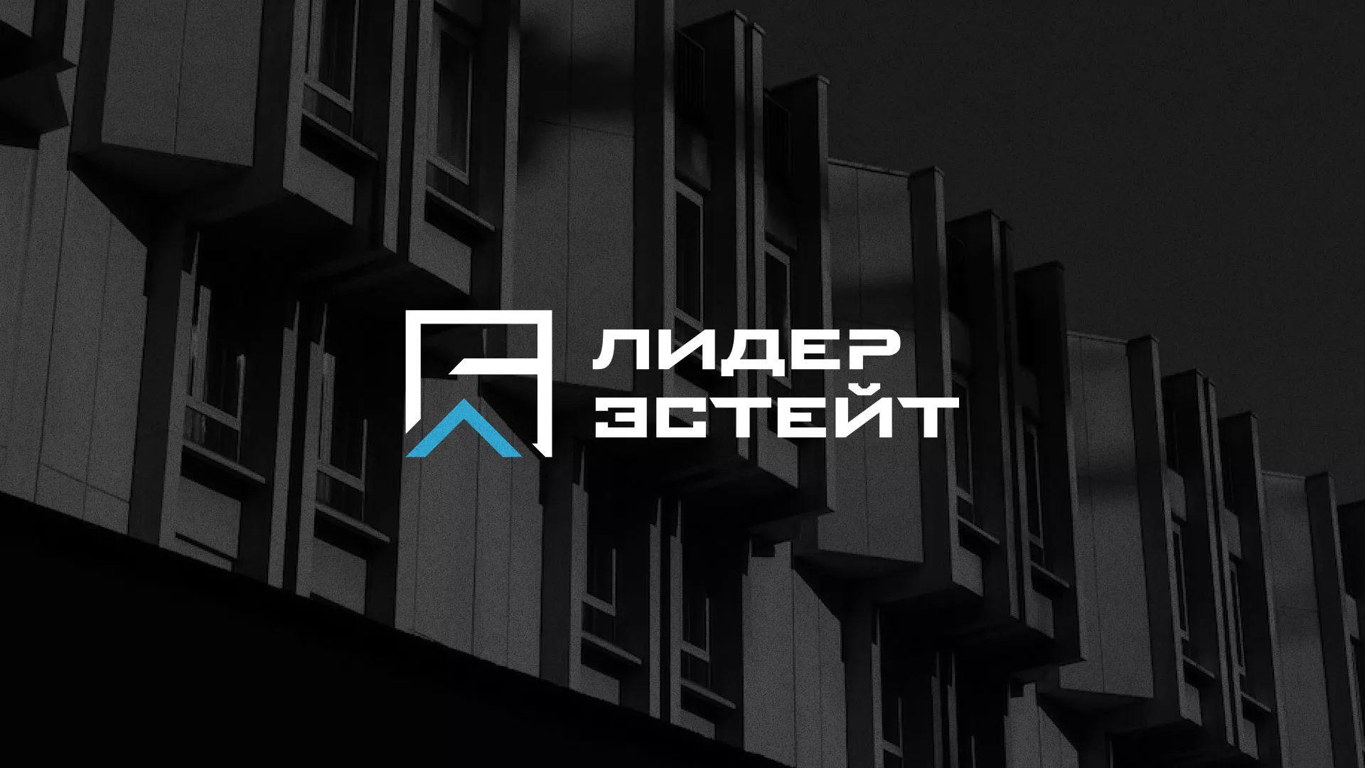 Разработка логотипа агентства недвижимости «Лидер Эстейт» в Красноярске